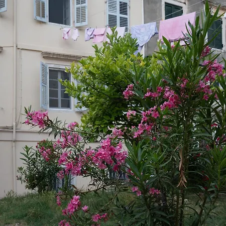 Tatil Evi Iliokambida House Korfu